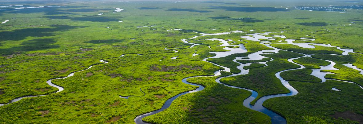 Aerial view of Everglades National Park in Florida, USA
