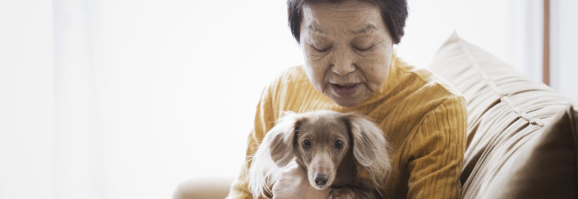 Woman with small dog in her lap