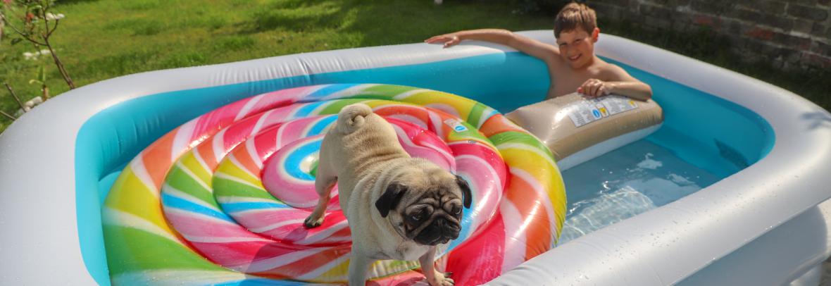 Inflatable outdoor pool with child and dog on raft